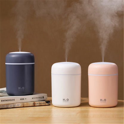 Air Purifying Humidifier